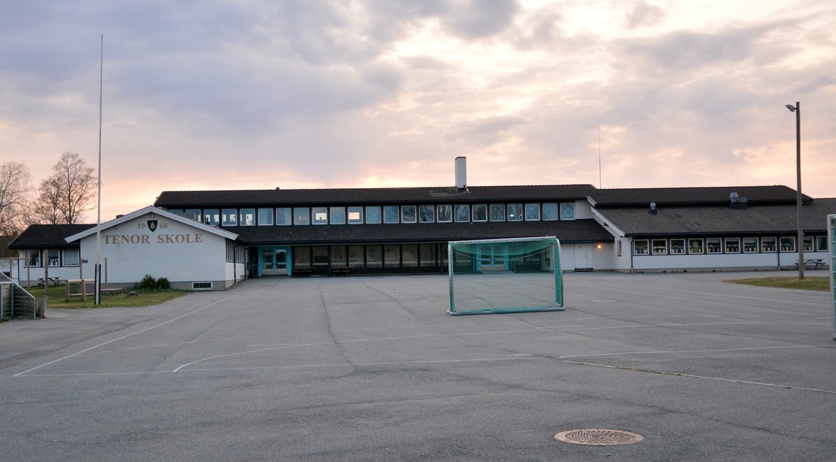 Tenor skole